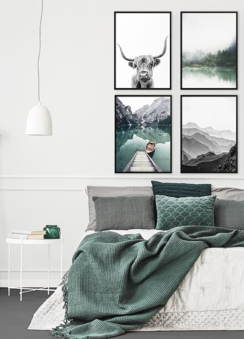 Zielone Sny Galerie obrazów